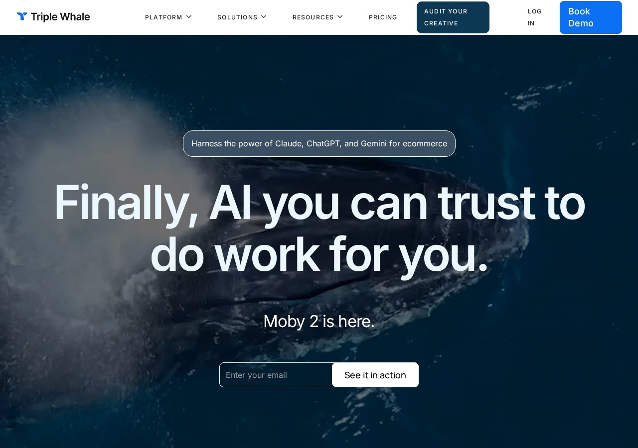 Triple Whale preview